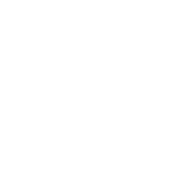 logo-rocha
